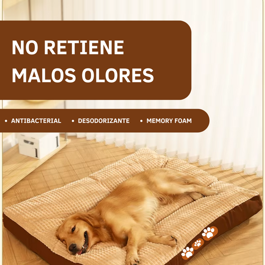 Cama Anti-Malos Olores K-Nino